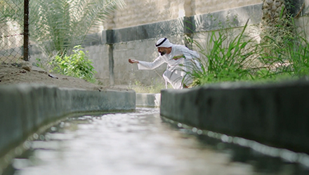 جولة مع مرشد في واحة العين 