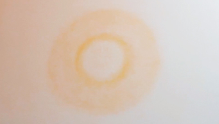 Guggenheim Abu Dhabi: Spotlight Series – Luminous Darkness